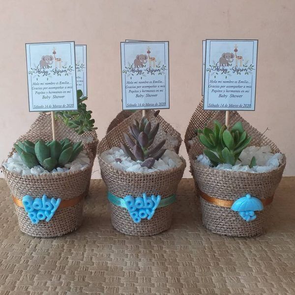 ética tablero Jarra Recuerdos para eventos archivos - cactussuculovers